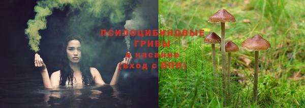2c-b Алексеевка
