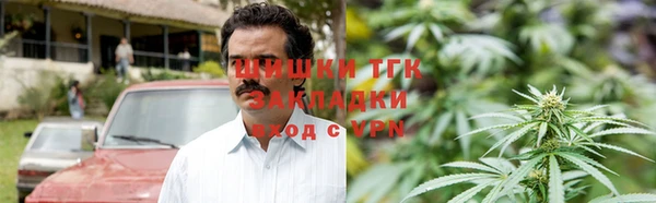хмурый Алексин