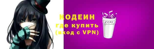 индика Ростов