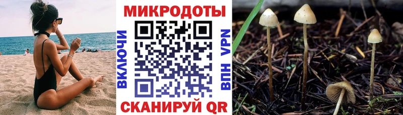 Купить закладки  Валдай  Галлюциногенные грибы GOLDEN TEACHER 